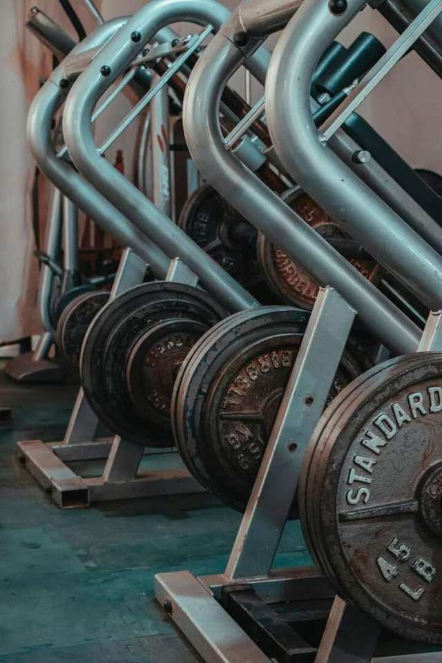 Training equipment arranged on a rack