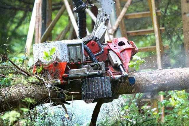 Chainsaw cutting a log