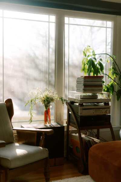 Sunlit counselling room with an armchair, plant, and side table