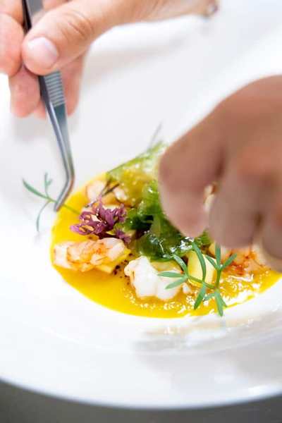 Gourmet plated dish with herbs and sauce